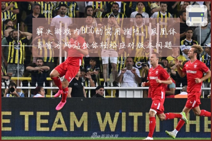 解决游戏内BUG的实用技巧，凤凰体育官方网站教你轻松应对版本问题