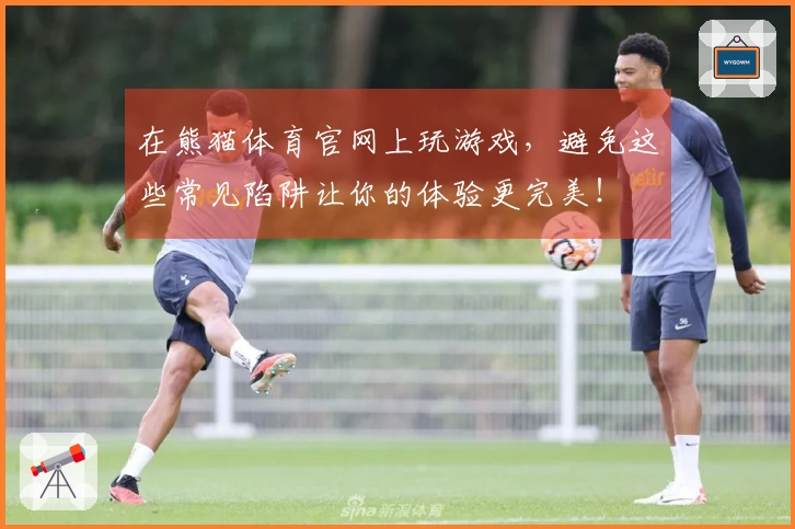 在熊猫体育官网上玩游戏，避免这些常见陷阱让你的体验更完美！